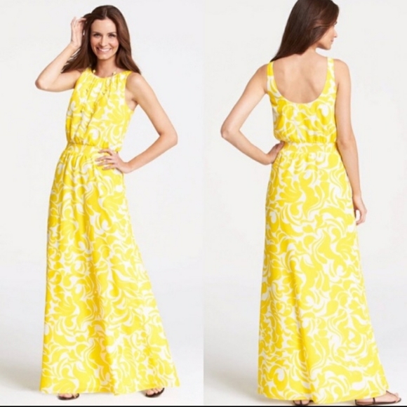 ann taylor maxi dress